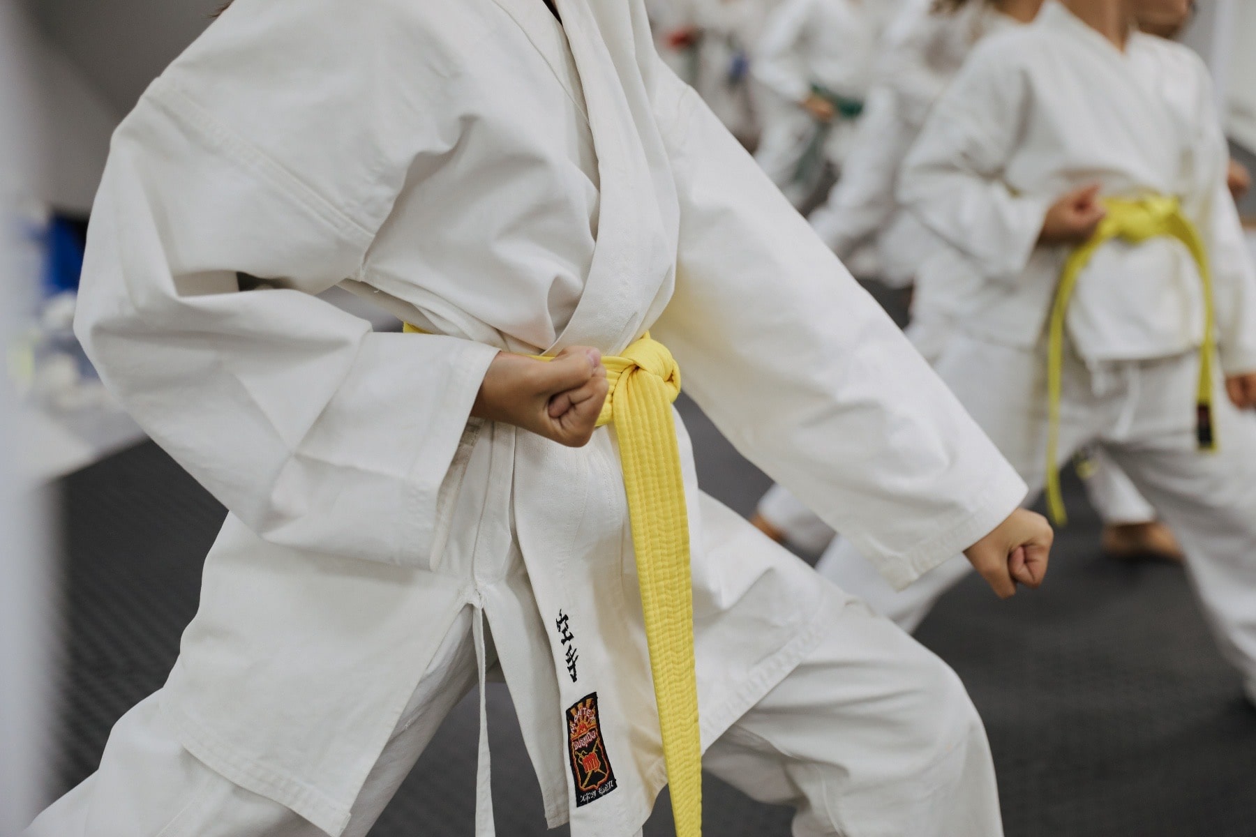 Karate Klub Soko Novi Sad